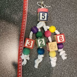 Bird Toy